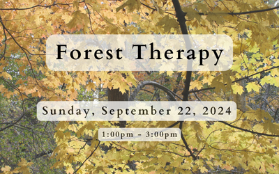 decorative image summarizing forest therapy spiritual retreat in Racine, Wisconsin