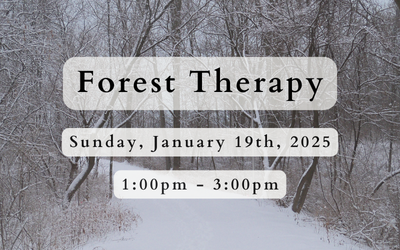 decorative photo describing the Forest Therapy spiritual retreat in racine, wisconsin