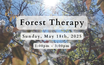 decorative photo describing the Forest Therapy spiritual retreat in racine, wisconsin